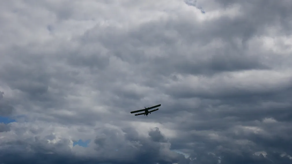 Над Брянской областью сбили 52 беспилотника