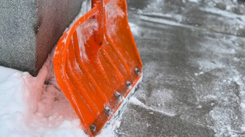 Болельщиков брянского «Динамо» попросили помочь в уборке снега на стадионе